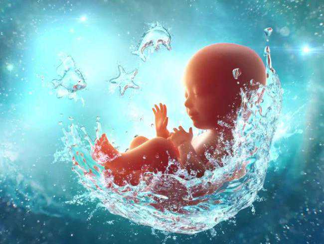 鑫宝助孕国际网站|三明供卵试管婴儿的空间,供卵试管婴儿的法律性