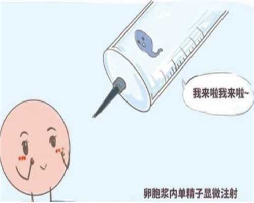 广州试管婴儿助孕包成功