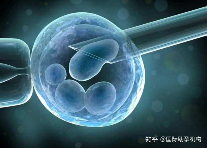 <b>上海世纪助孕生殖中心爱企查,正规试管助孕机构：哪里找上海比较大的助孕公</b>