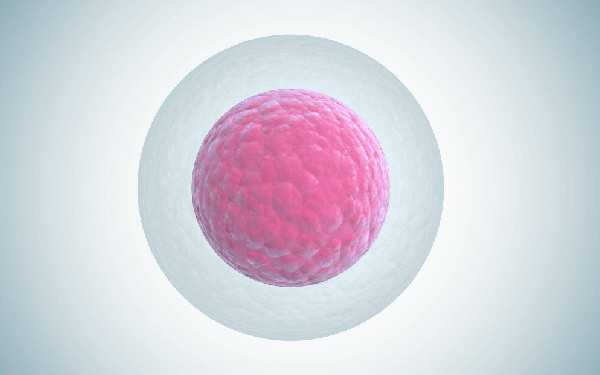 代孕月子中心_2021个人急找代孕女人一名_试管婴儿移植后胚胎发育不良